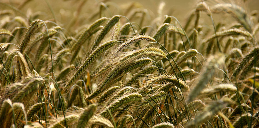 Agricultural